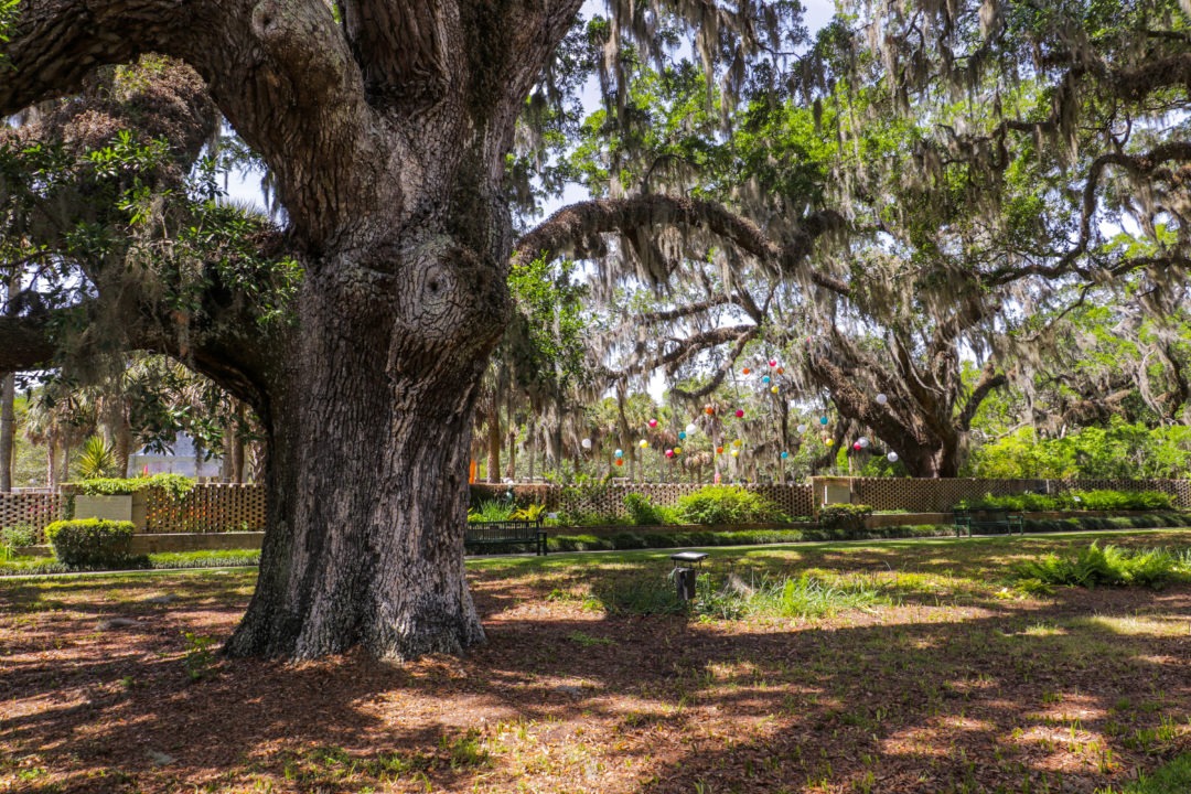 Exploring Brookgreen Gardens in Myrtle Beach - Ramnaths Away