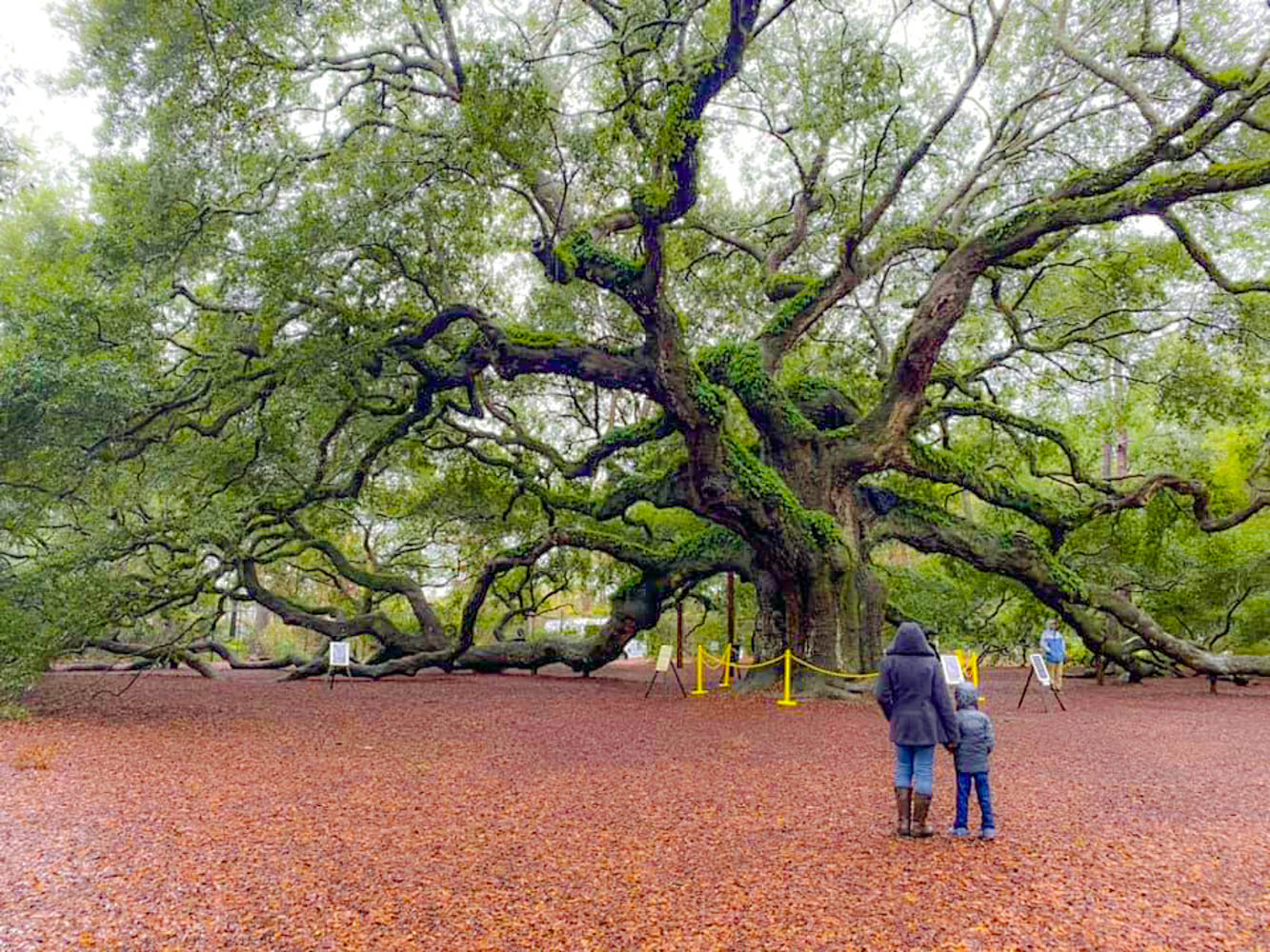 Quick Guide: Charleston Day Trip